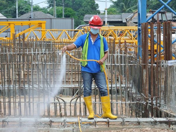 construction-termite